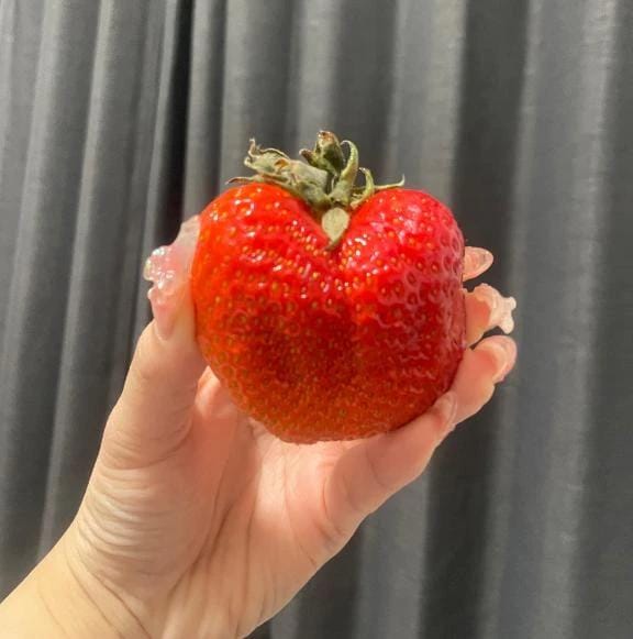 「ハートみつけた」02/15(日) 09:32 | ハートの写メ