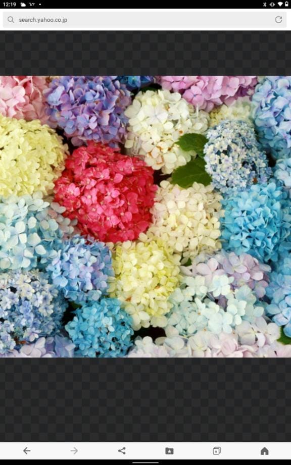 「ありがとうございました」02/15(日) 12:42 | のぞみの写メ