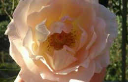 もうすぐ着きます