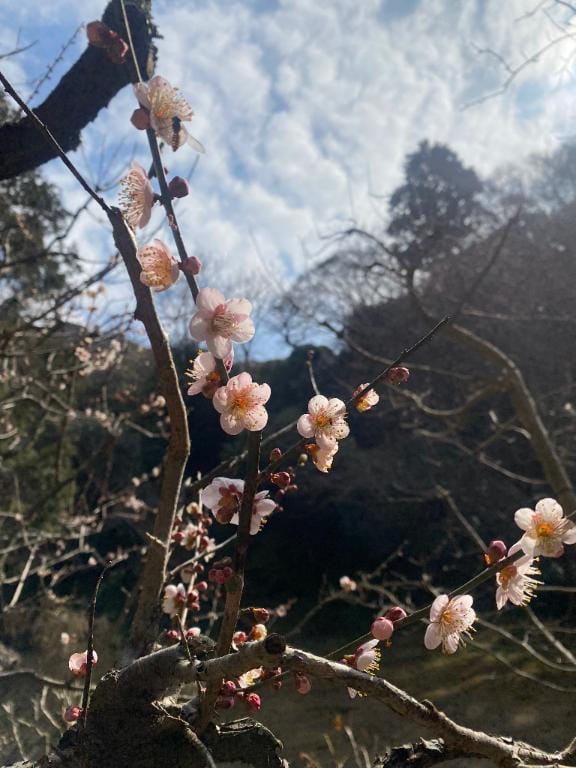 明日出勤いたします♡