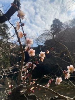 明日出勤いたします♡