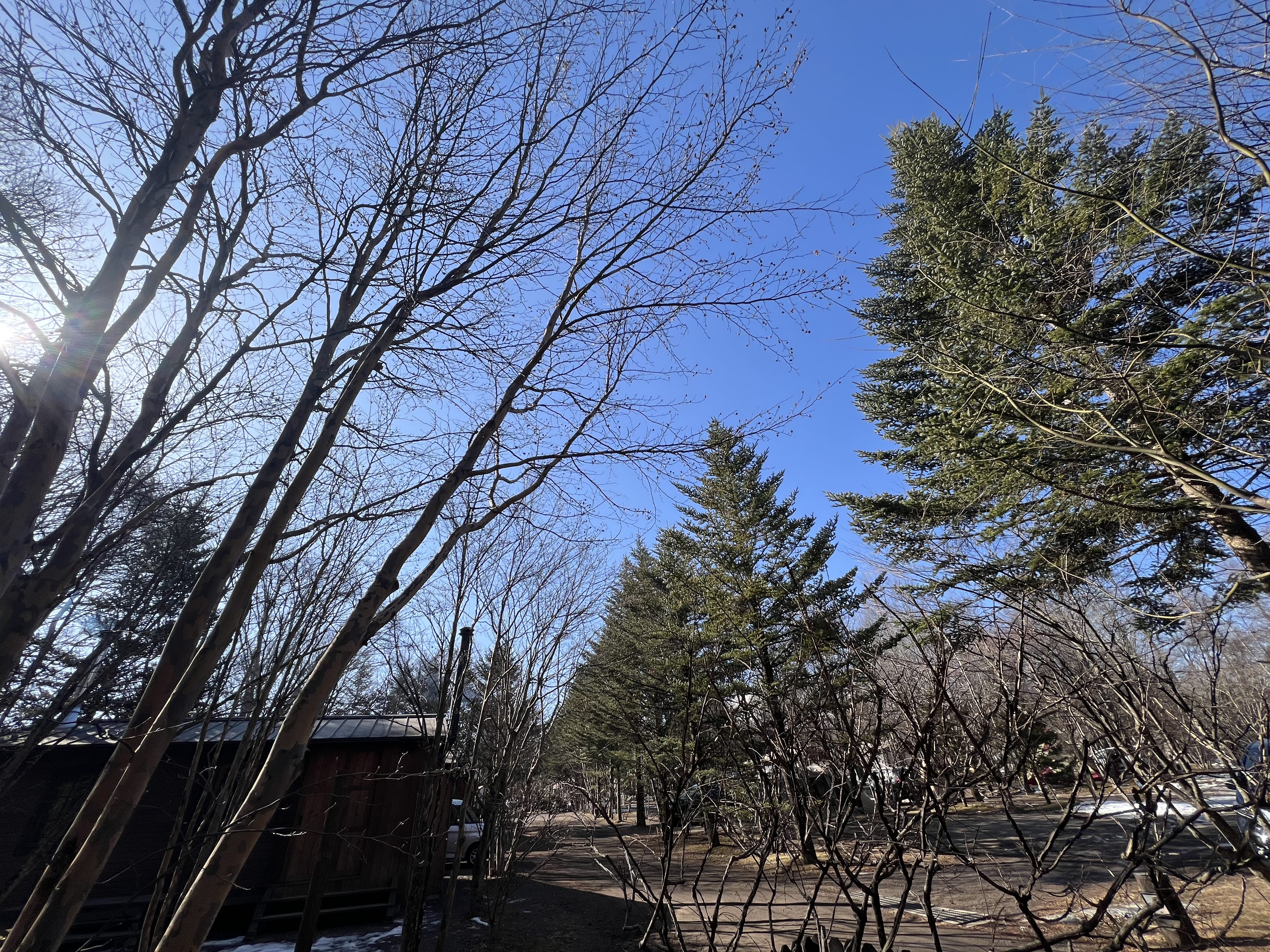 もえ「もえです！」02/17(火) 15:51 | もえの写メ