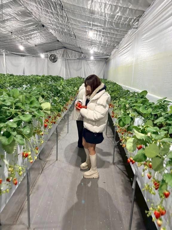 「いちご狩りしてきた日」02/17(火) 19:21 | ハートの写メ