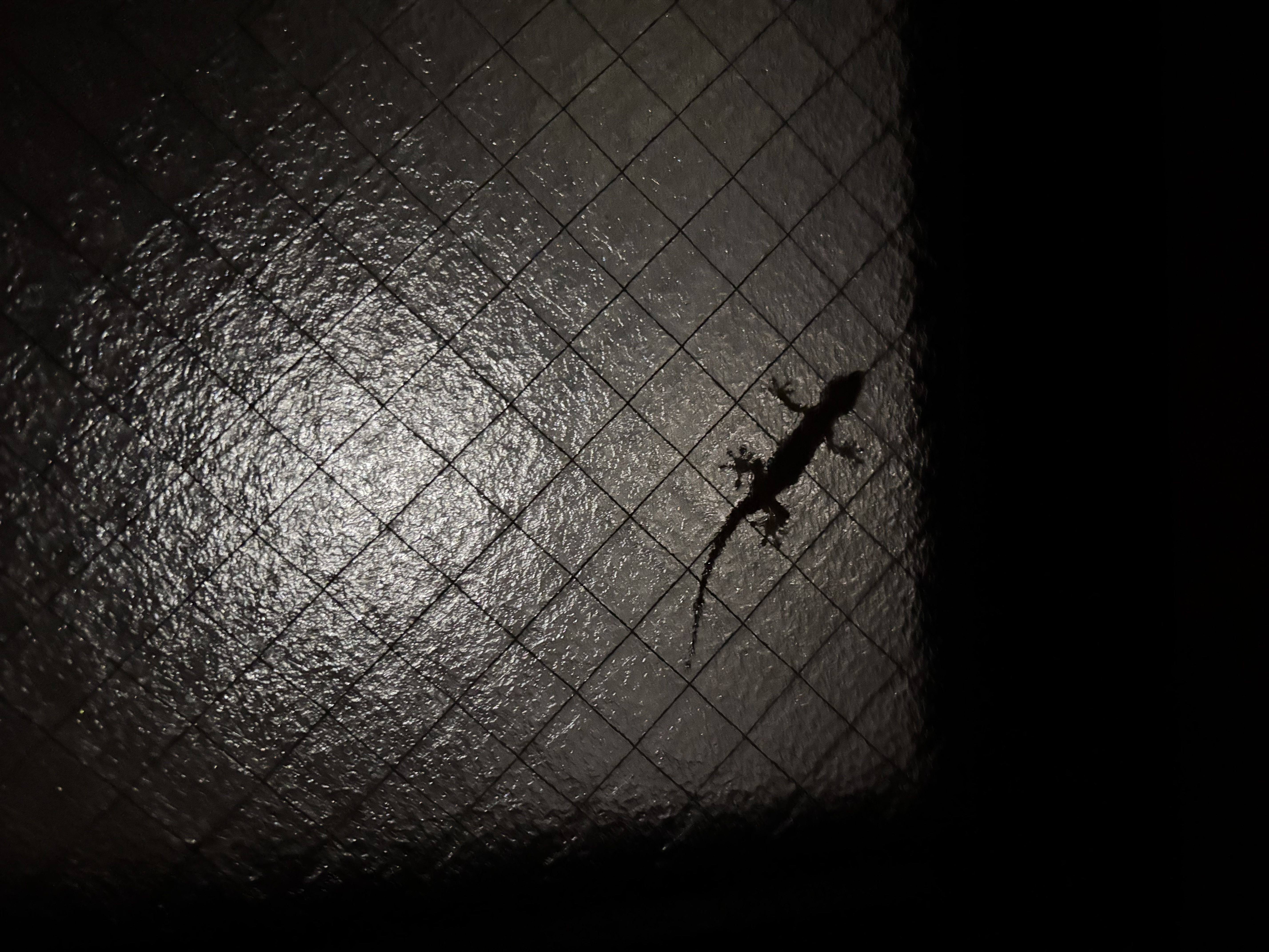 「サヤカです！」02/19(木) 18:40 | さやかの写メ