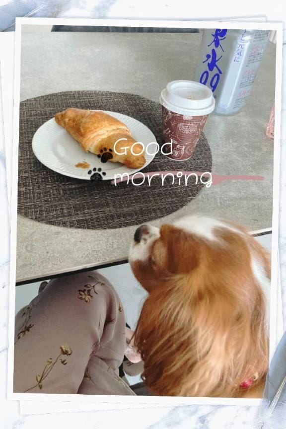 「眠い朝」02/21(土) 06:30 | ねねの写メ