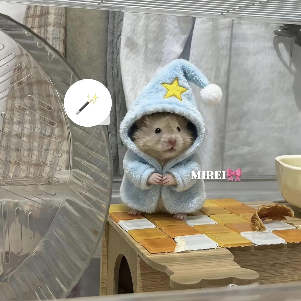 みれい「いるう」02/21(土) 10:20 | みれいの写メ