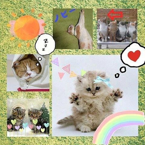 「本日」02/22(日) 10:00 | ねねの写メ