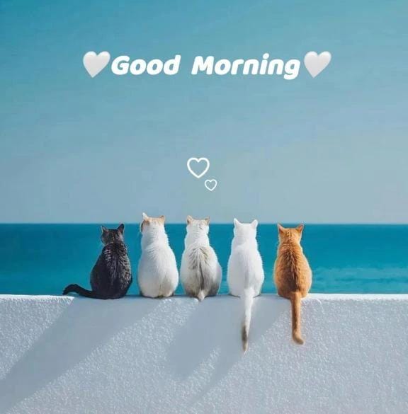 「ほんの少し…」02/25(水) 06:20 | ねねの写メ