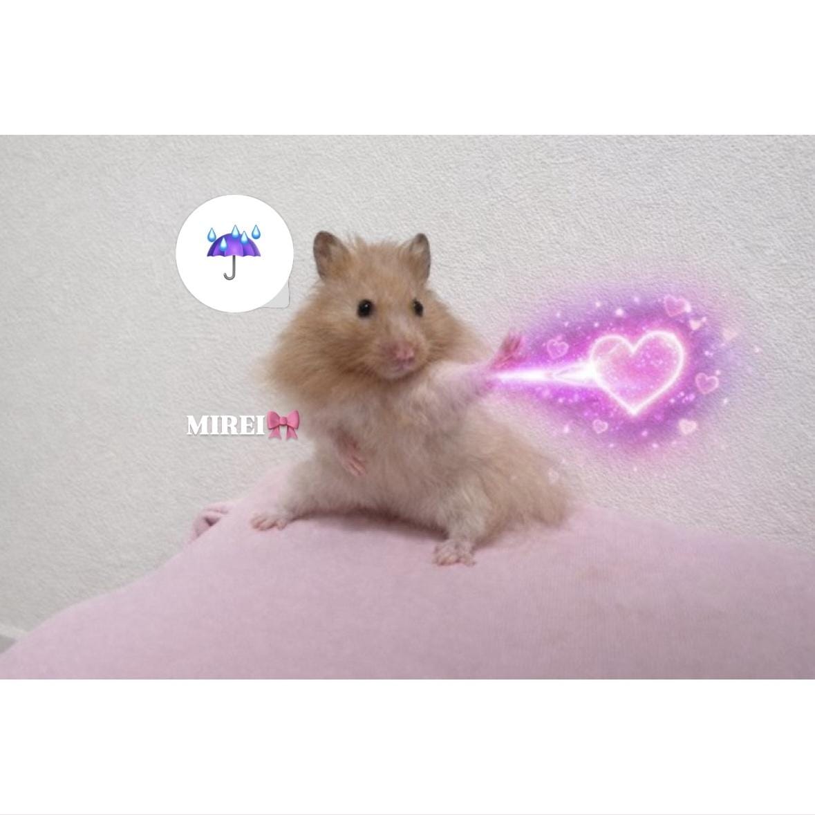 みれい「あめあめ」02/25(水) 11:51 | みれいの写メ