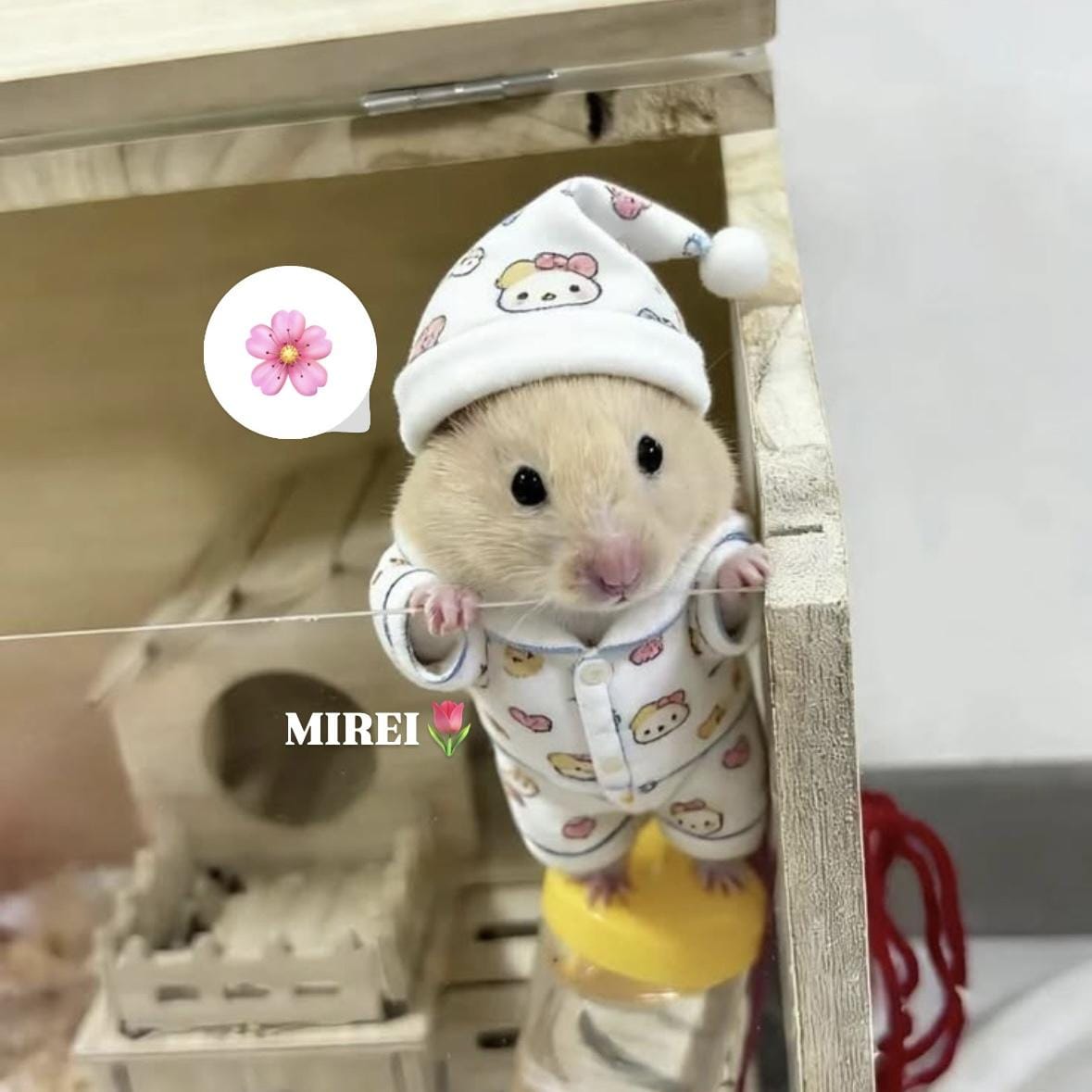 みれい「いるよ」02/27(金) 13:56 | みれいの写メ