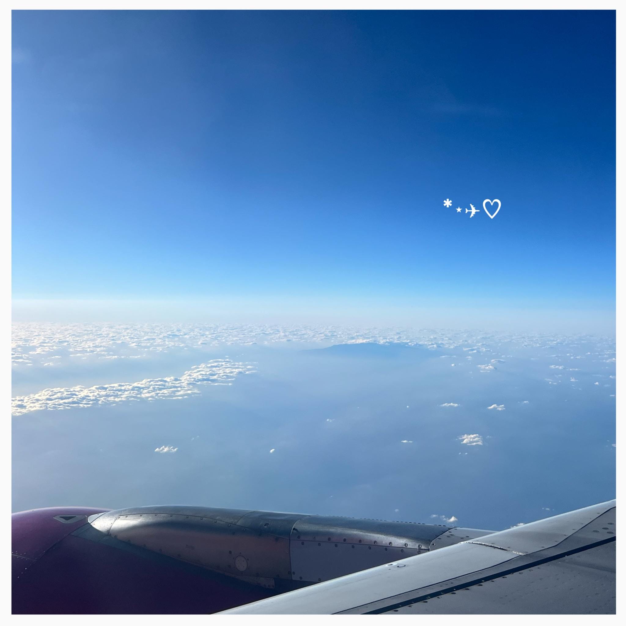 「何に怯えることもなく、君は君であるべきだ」02/27(金) 16:17 | No.90:林の写メ