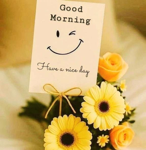 「ほっこり」02/28(土) 12:10 | ねねの写メ