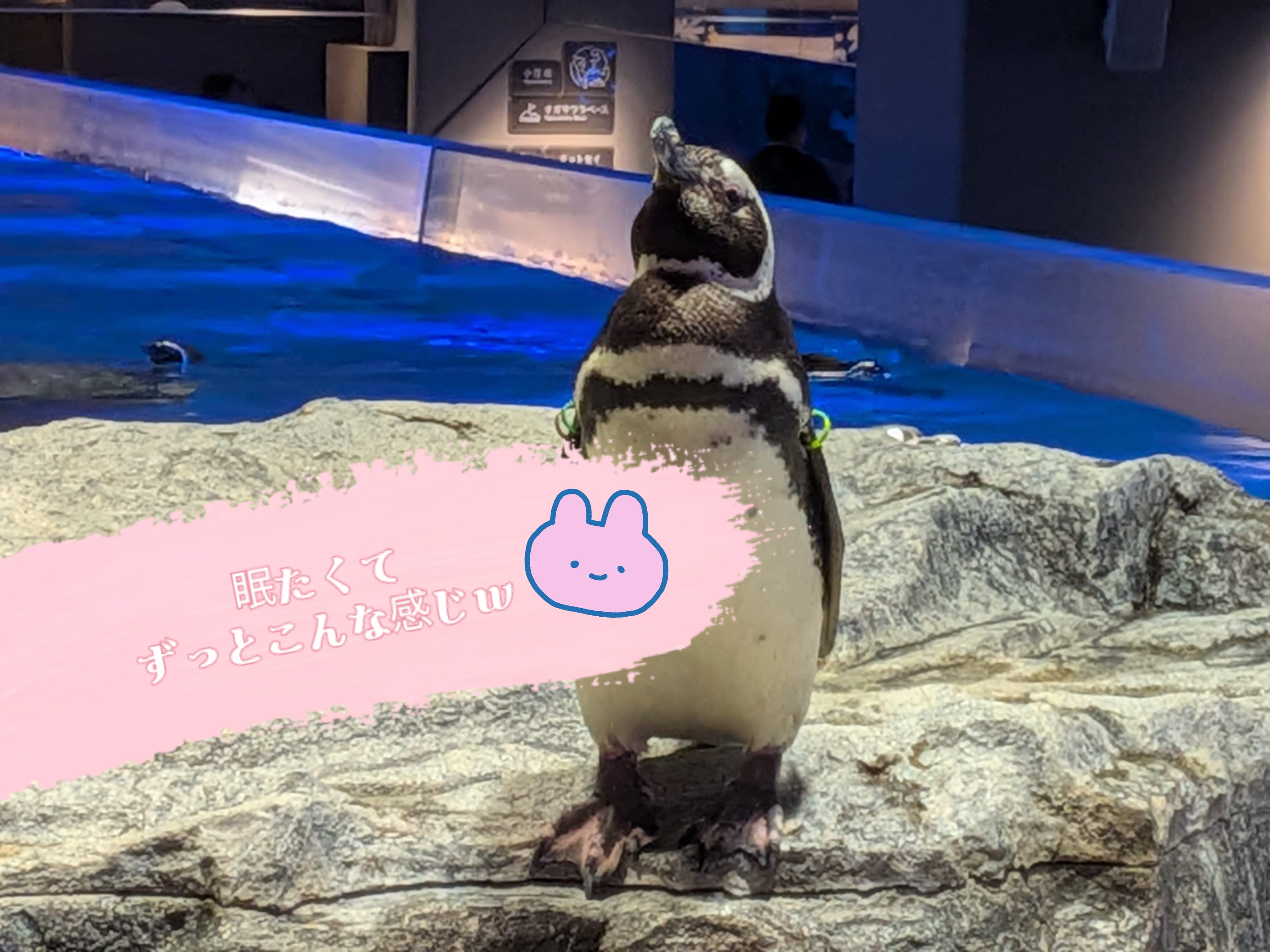 こはる「花粉やばい！！」02/28(土) 13:12 | こはるの写メ