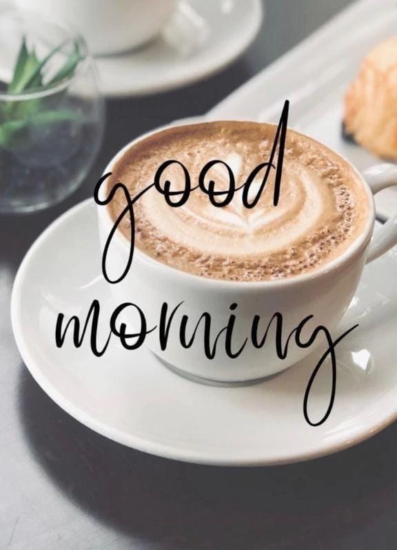 「潤いの雨」03/03(火) 10:20 | ねねの写メ