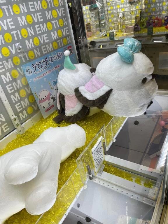 こんにちはー！