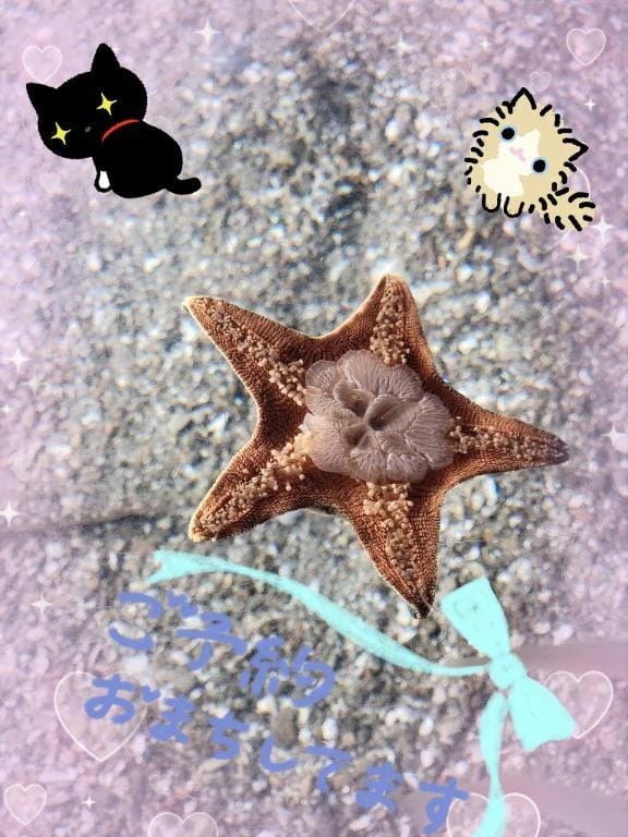 出勤してるよ〜✨