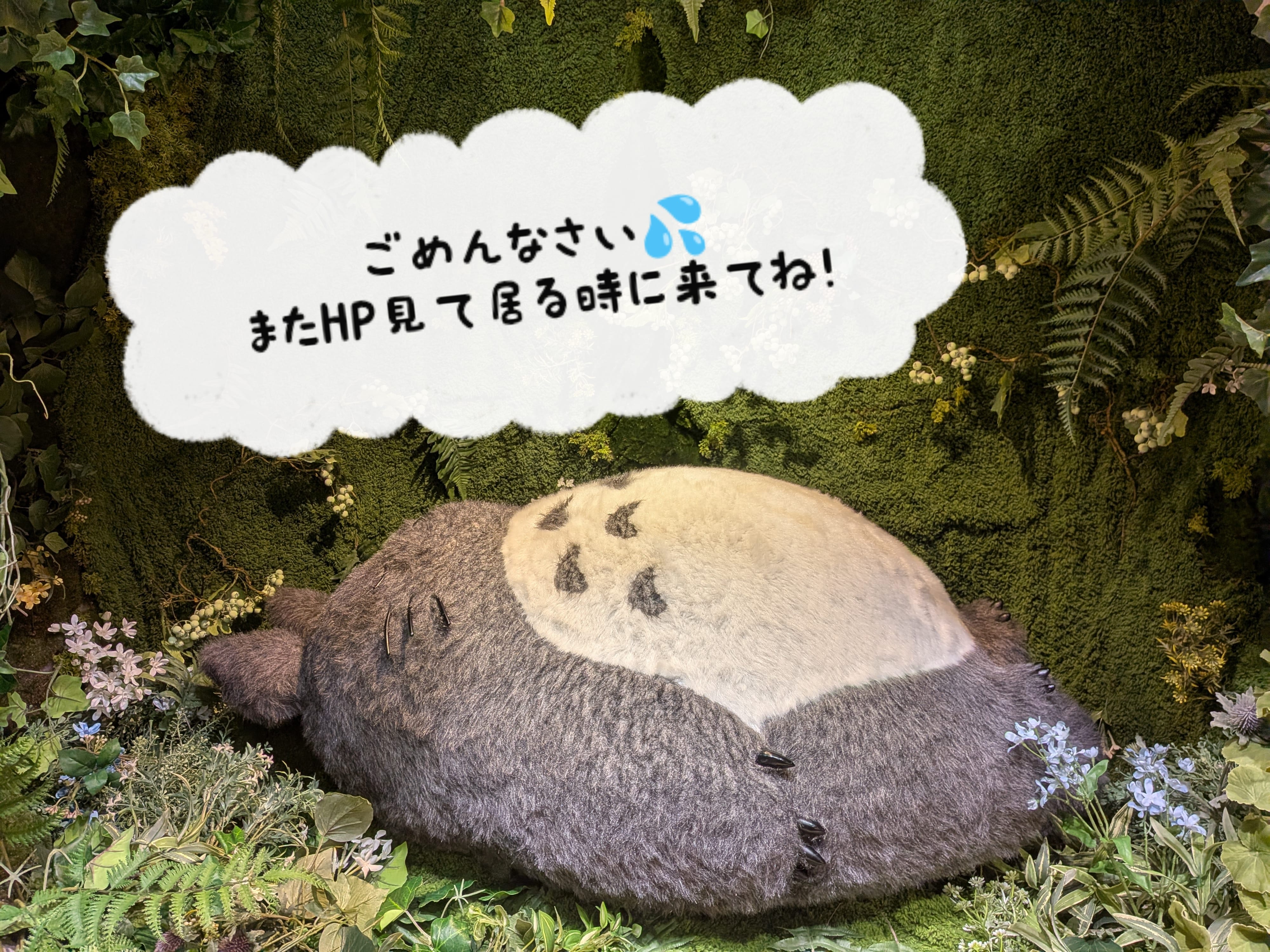 こはる「出れなくなっちゃった」03/05(木) 16:53 | こはるの写メ