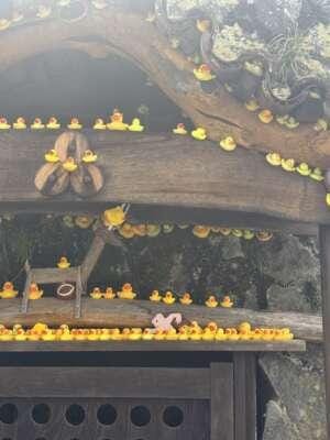 「#3.5」03/05(木) 18:57 | さくらの写メ