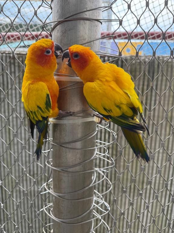 「ご無沙汰しております☁️」03/06(金) 13:09 | 安奈の写メ