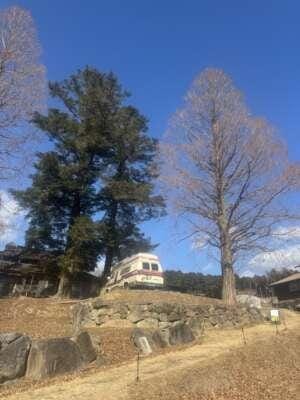 「#3.6」03/06(金) 19:37 | さくらの写メ