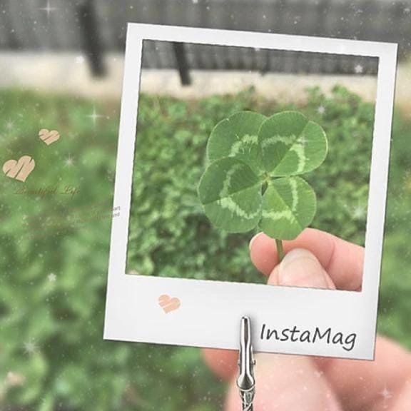 「本日も」03/07(土) 09:50 | ねねの写メ