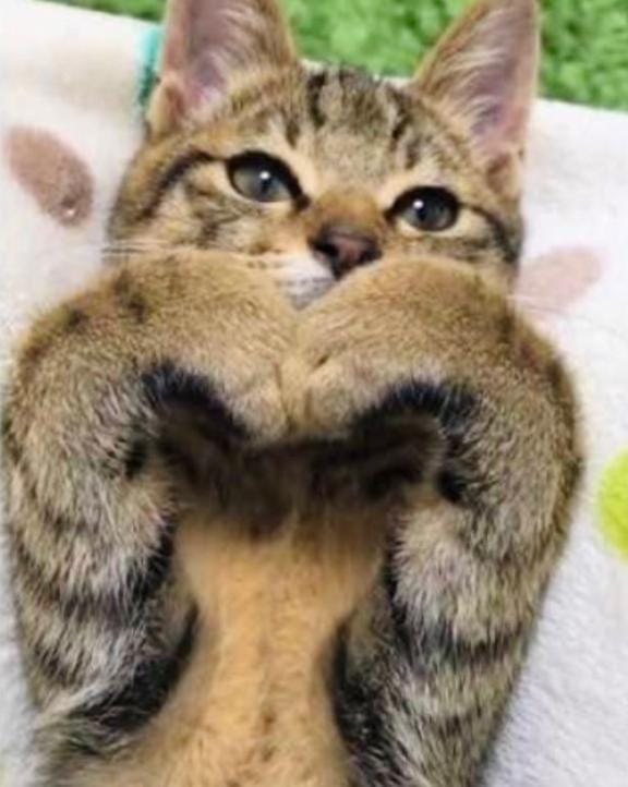 「本当にごめんなさい‍」03/07(土) 19:21 | 入江の写メ