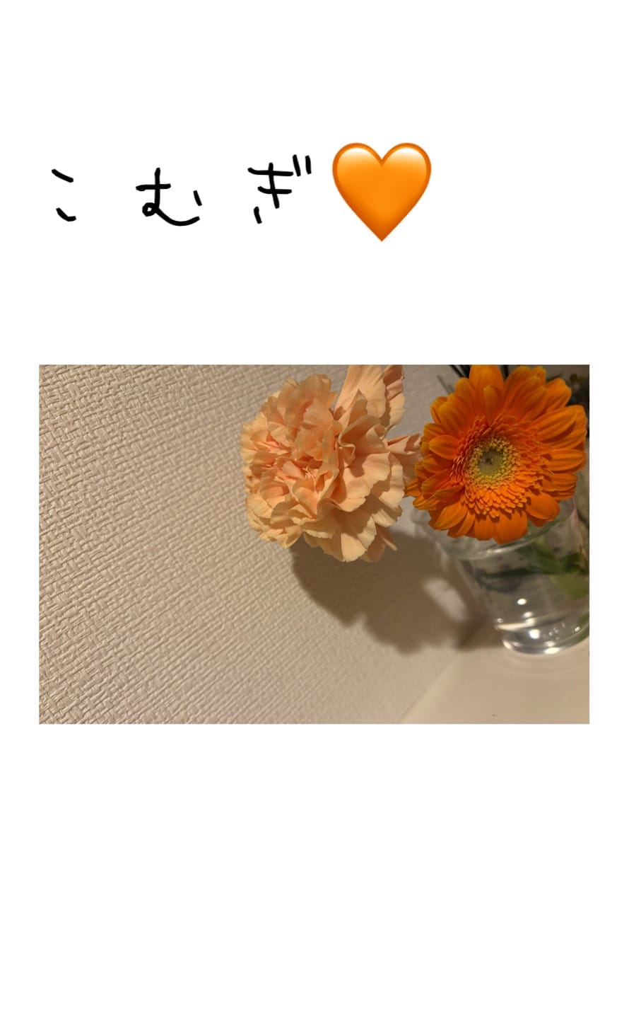 「今週の出勤予定です！」03/08(日) 12:51 | こむぎの写メ