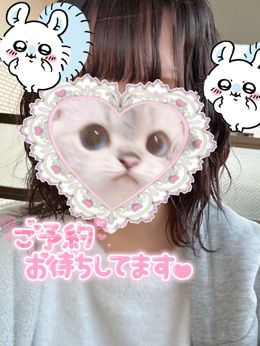 今年初フェス!、来週の予定