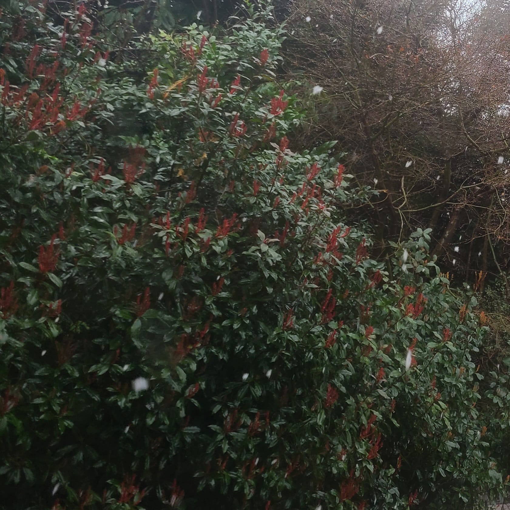 今週の出勤予定♪