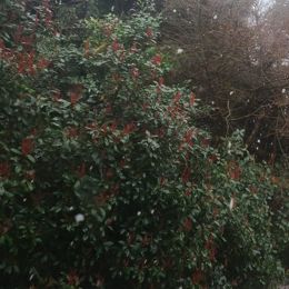 今週の出勤予定♪