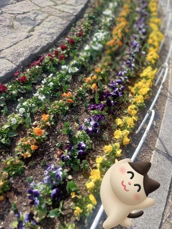 「お互いに」03/10(火) 18:13 | ななの写メ