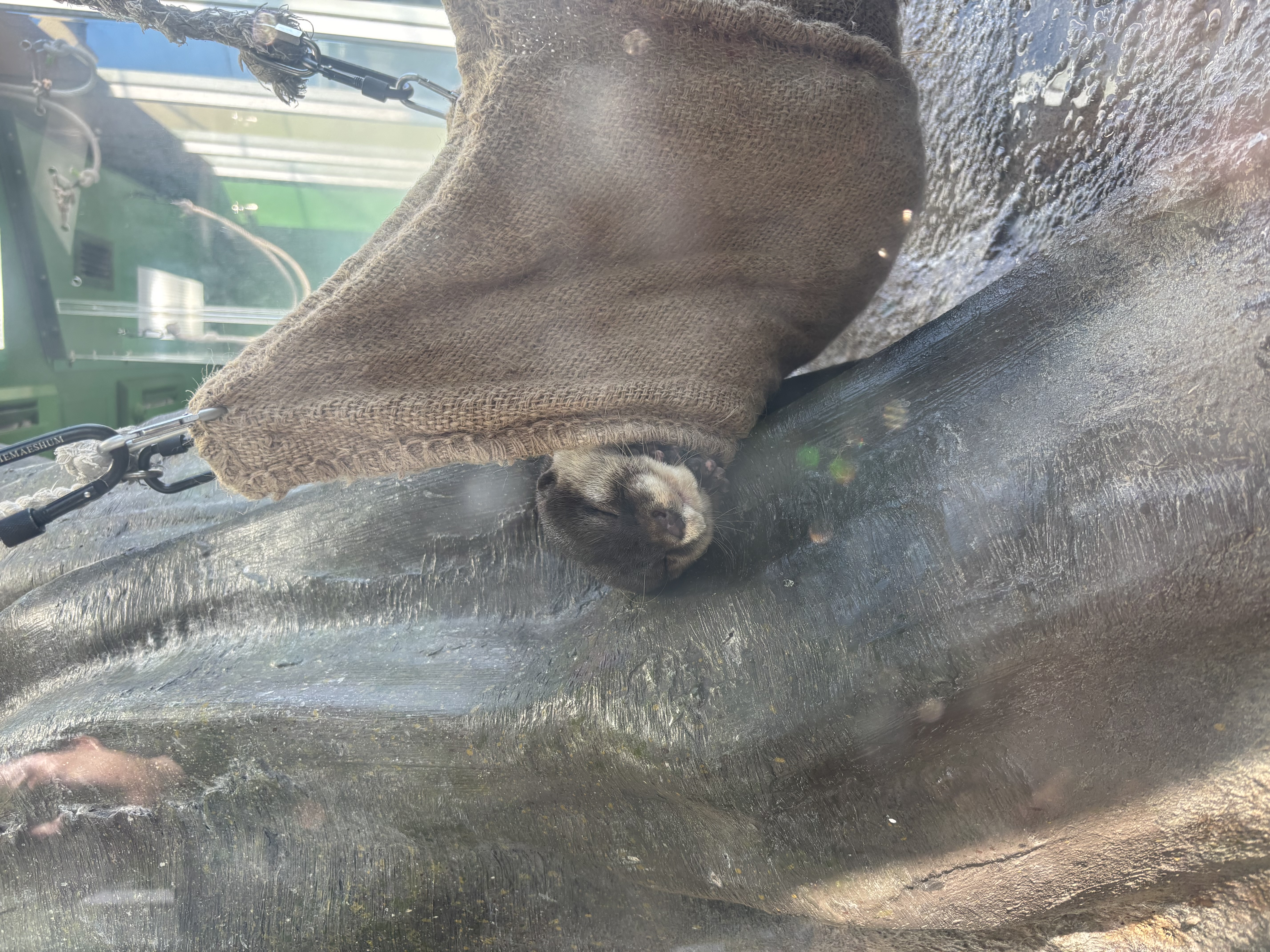 「ありがとうございます！」03/11(水) 08:37 | さやかの写メ