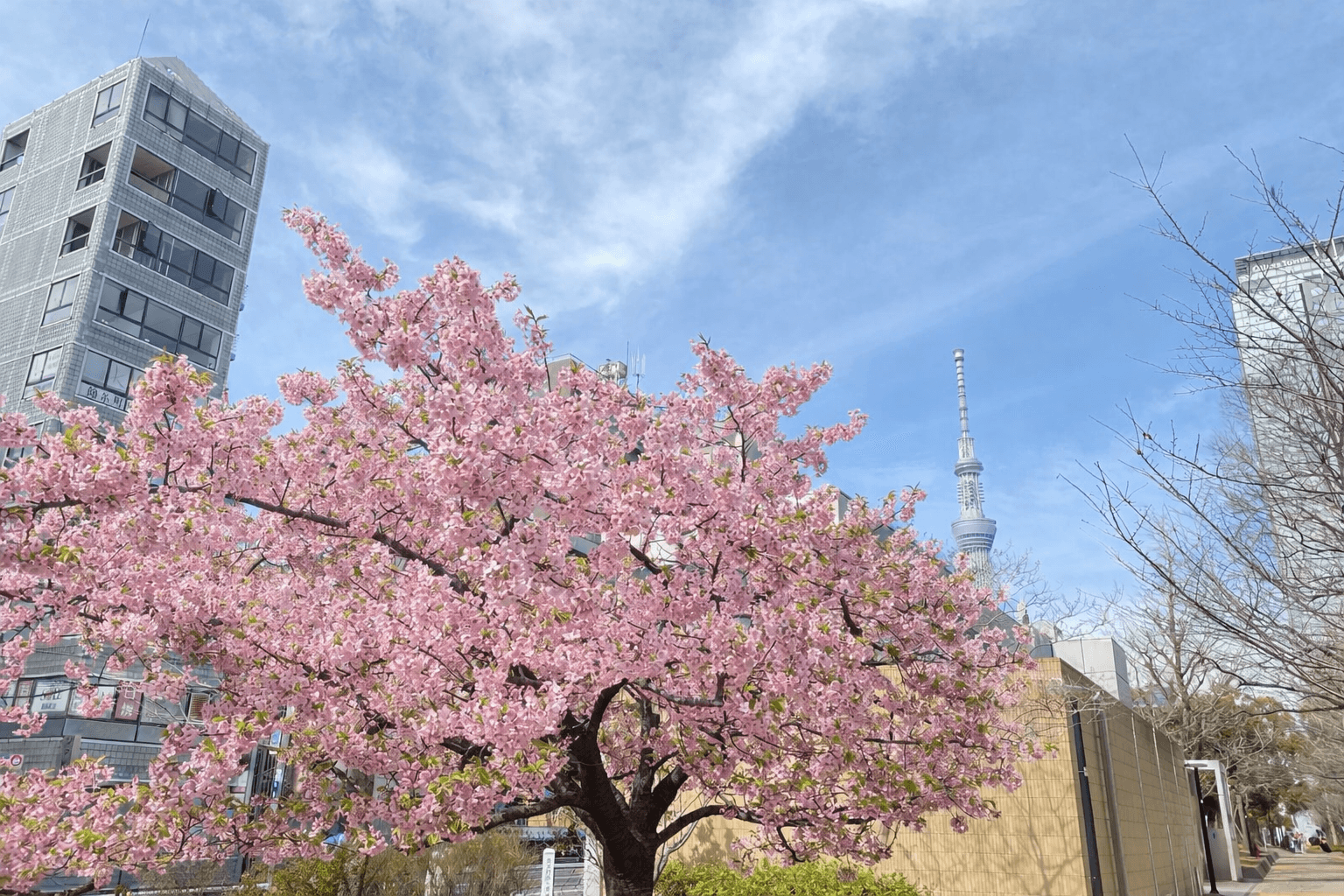 「2026.3.11」03/11(水) 09:29 | あんの写メ