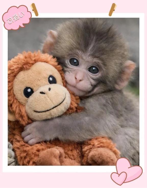 「パンチくん」03/12(木) 08:10 | ねねの写メ