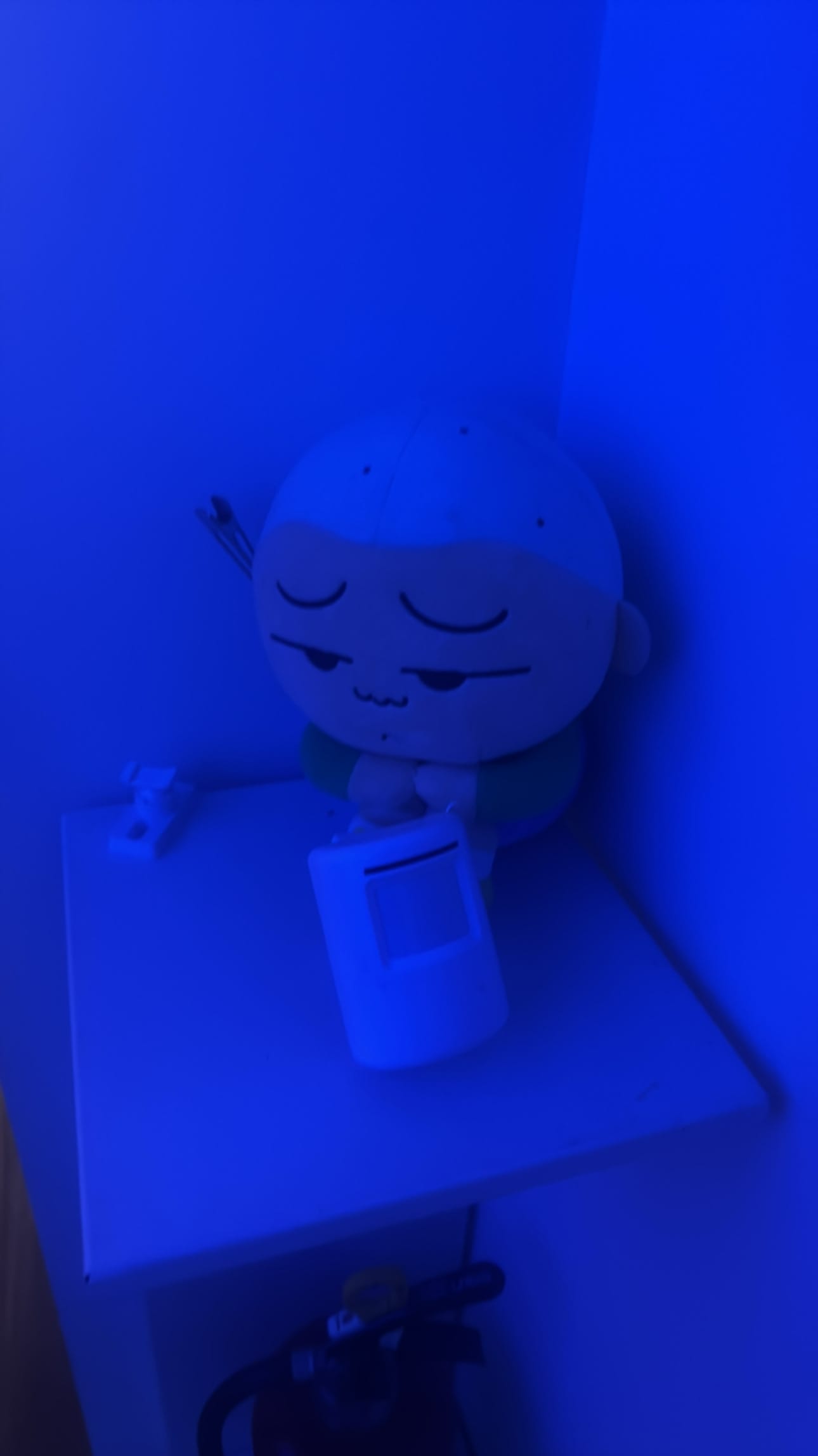 きらり「出勤」03/12(木) 10:01 | きらりの写メ