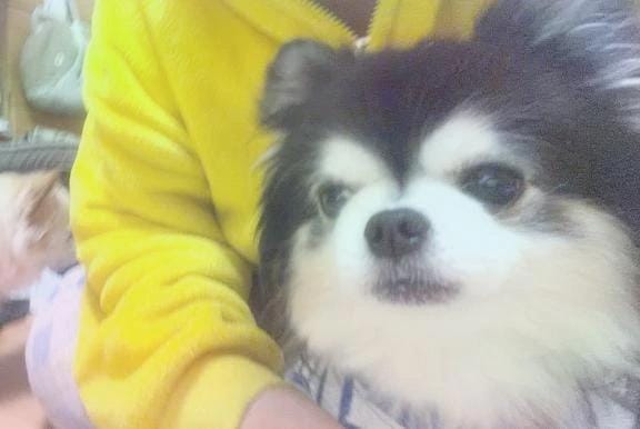 本日お休みになりました