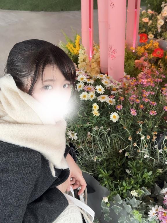 4月は花見で酒が飲めるぞ