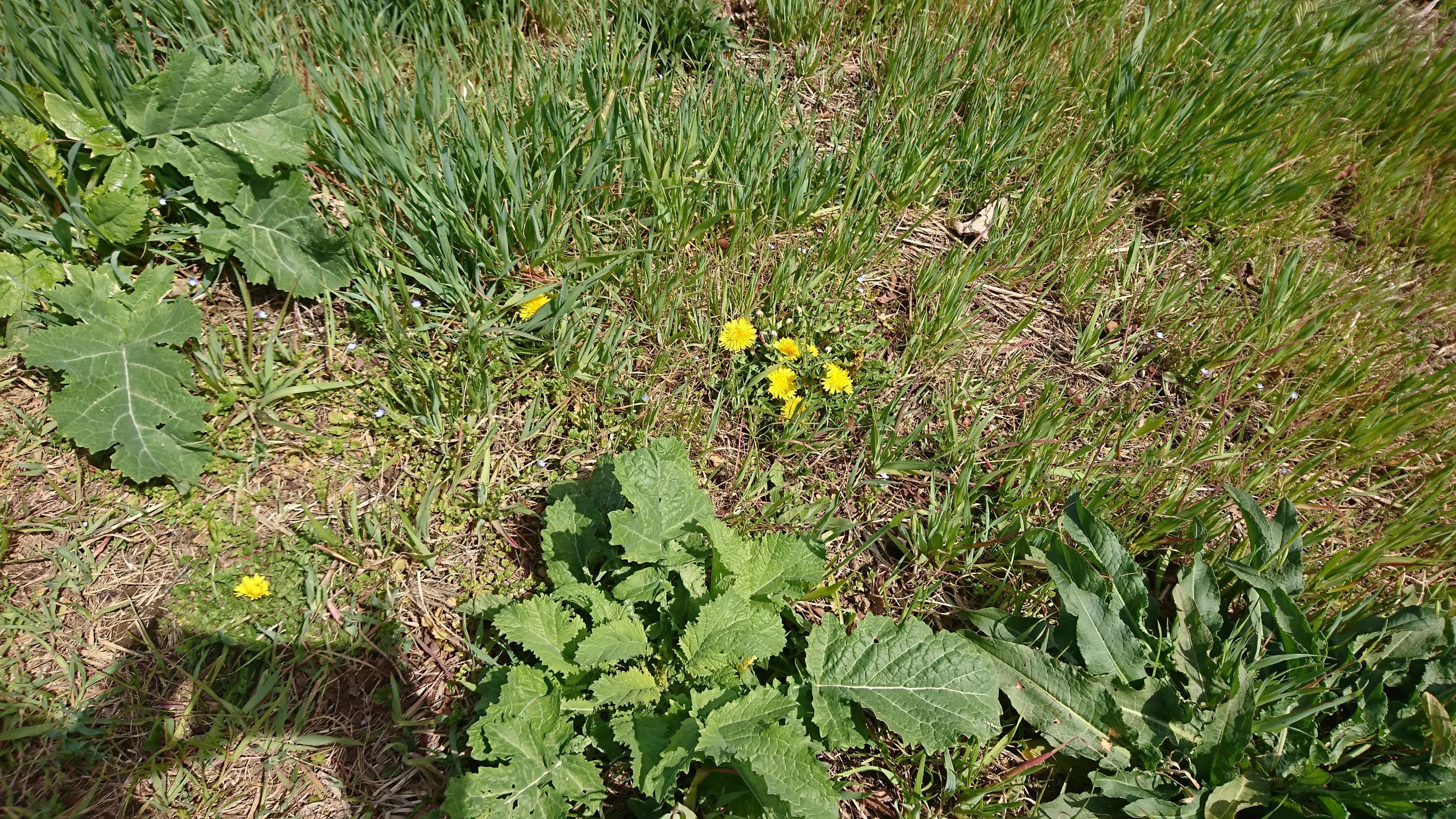 「これから」03/14(土) 17:30 | 湊の写メ