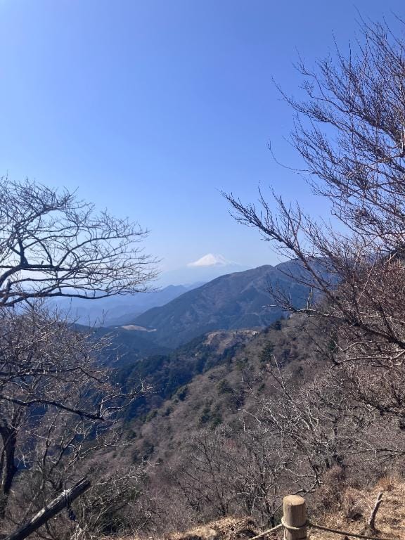 「くすぐり」03/14(土) 19:41 | 玉依の写メ