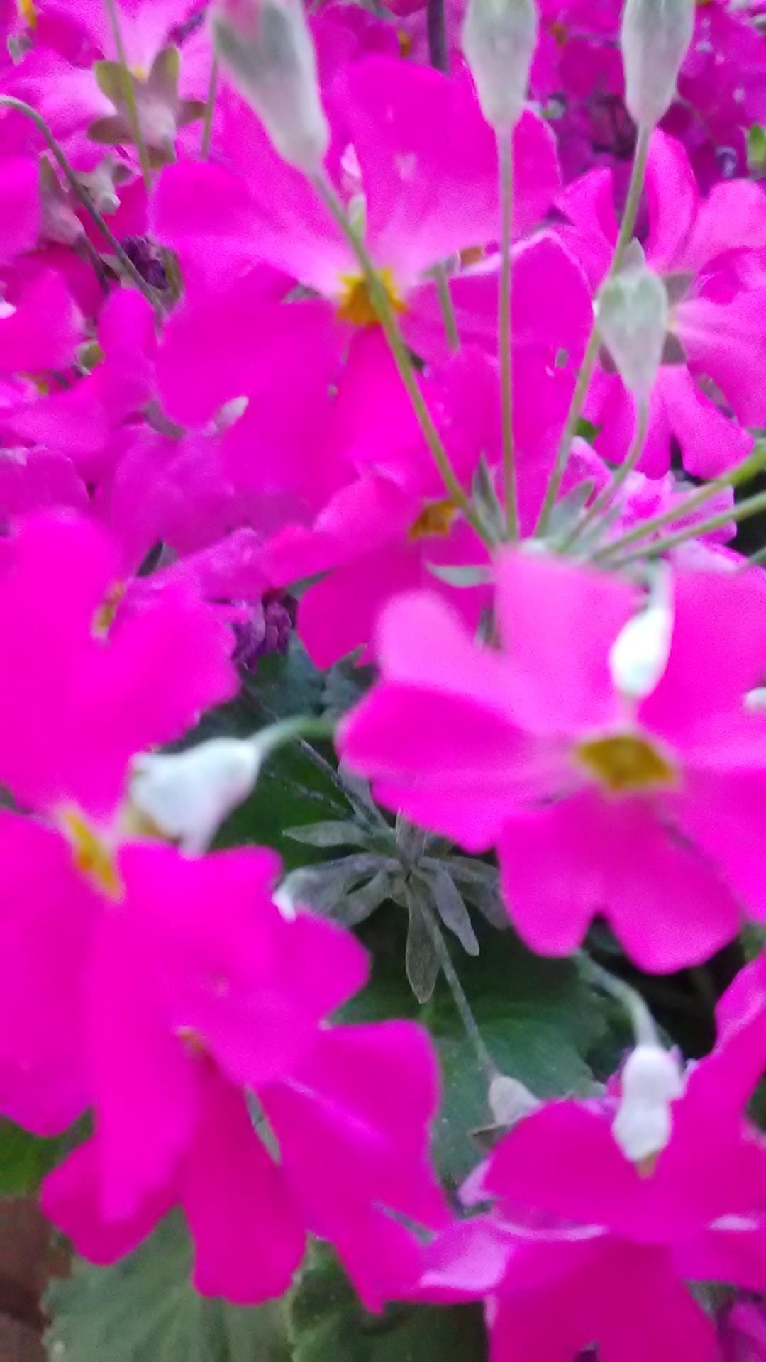 「こんばんはです。」03/14(土) 20:17 | しずかの写メ