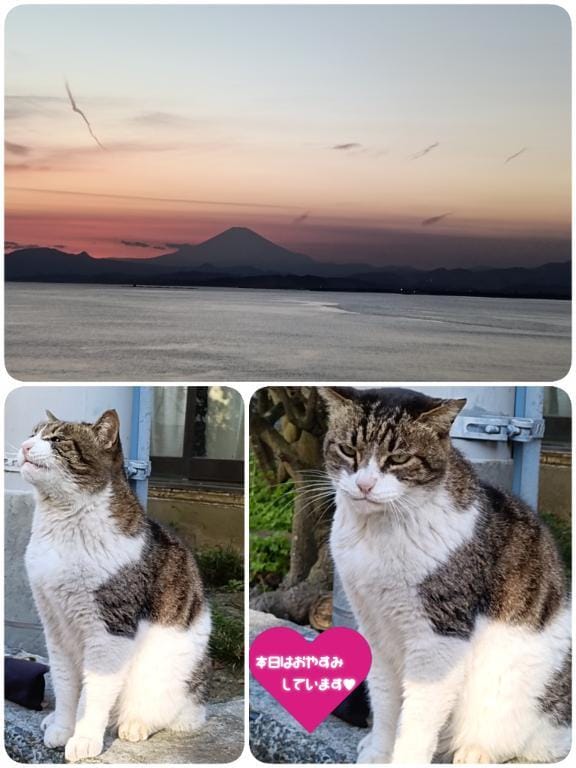 「★☆Happy Valentine!!☆★」03/14(土) 23:32 | 悠月澄夏(ゆうづきすみか)の写メ