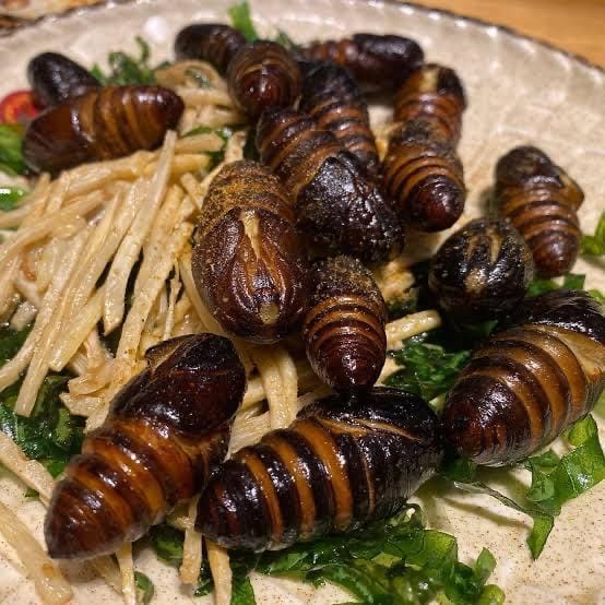 「【お題】1時間我慢するならG100匹と大嫌いな人の言いなり」03/14(土) 23:49 | 玉依の写メ