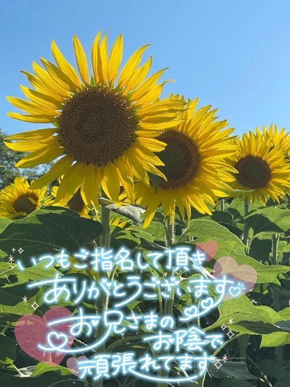 「お礼日記♥️ありがとう」03/15(日) 01:21 | 夏乃 ひまわりの写メ