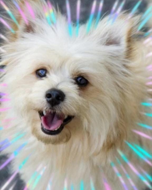 「朝から幸せ❤(ӦｖӦ｡)」03/16(月) 13:40 | 本上の写メ