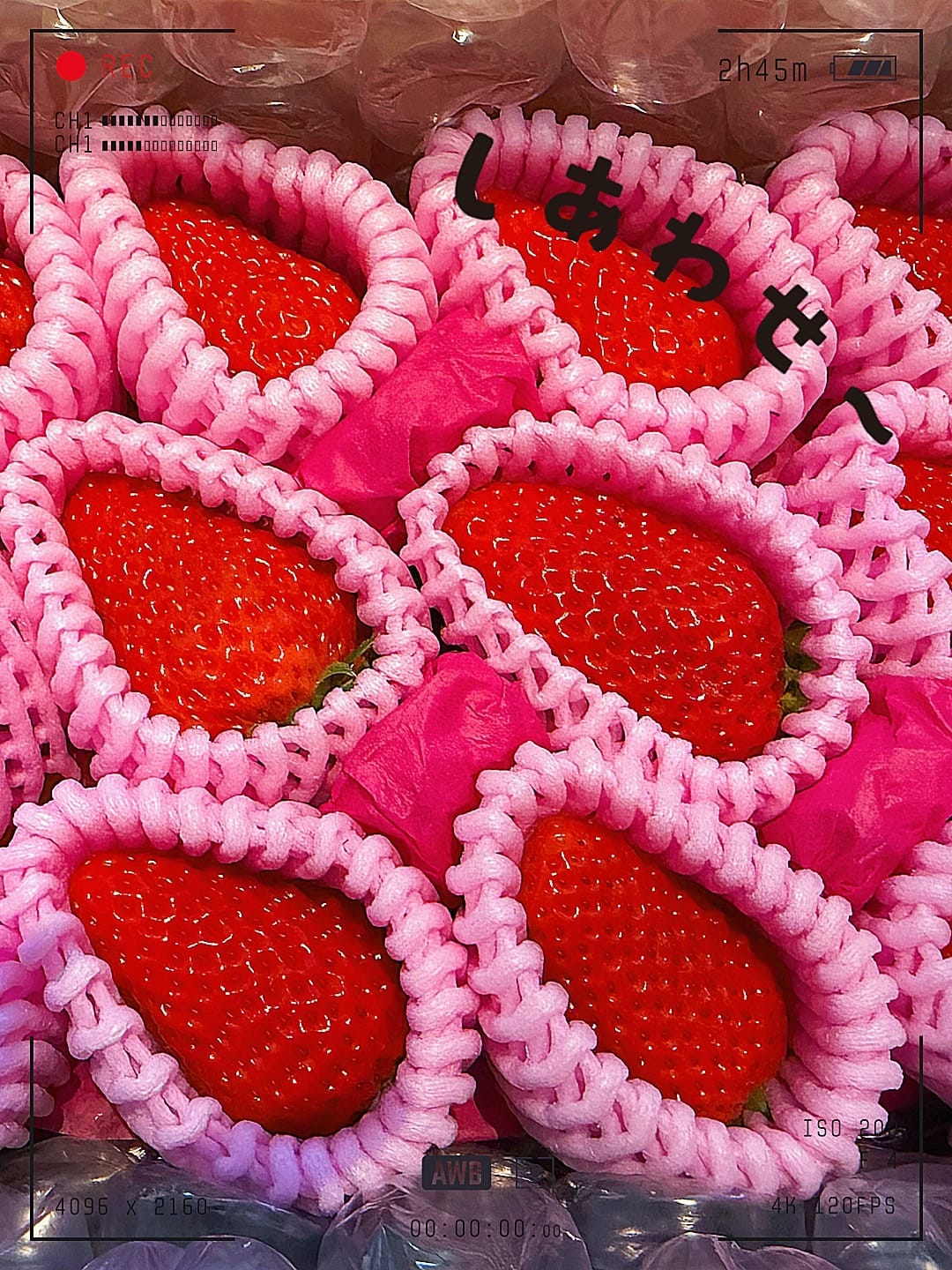 出勤しました♪