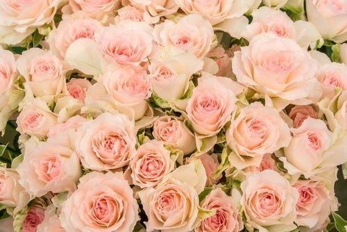 「楽しかったです」03/16(月) 14:12 | 新口の写メ