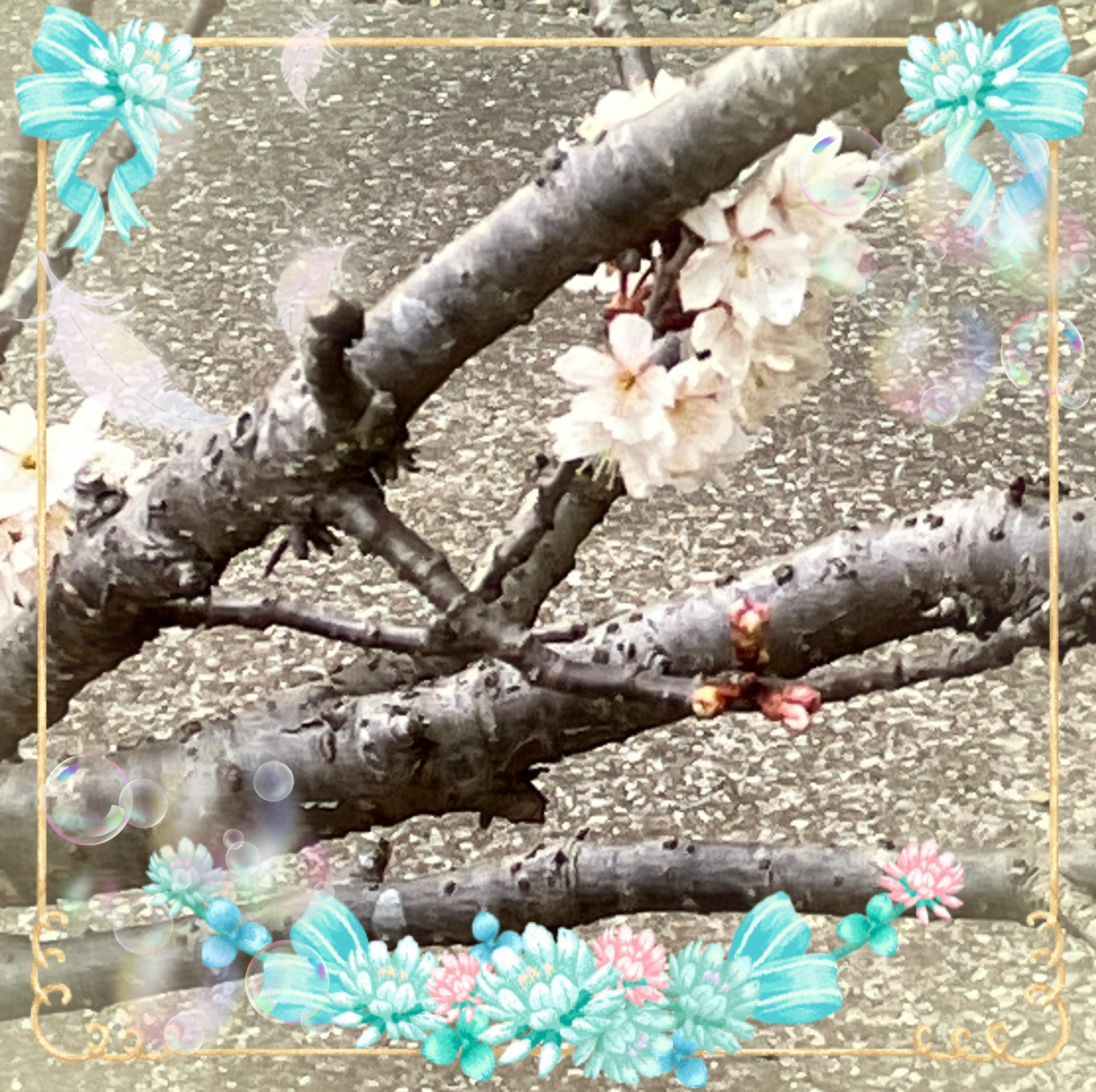 「急遽♪」03/17(火) 15:07 | さつきの写メ