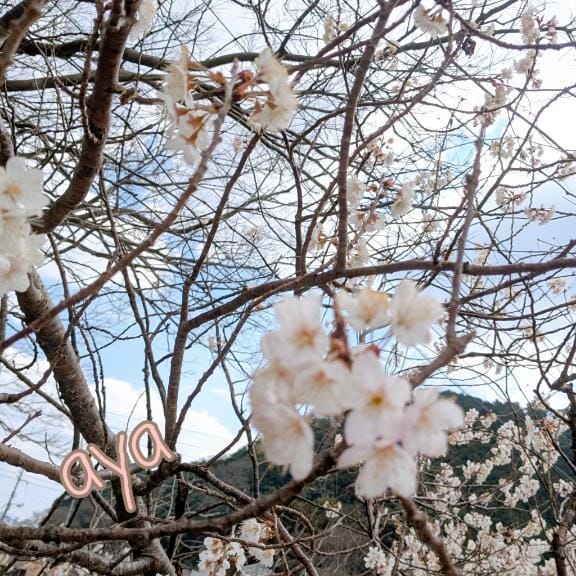 「おはようございますー」03/18(水) 08:22 | あやの写メ日記