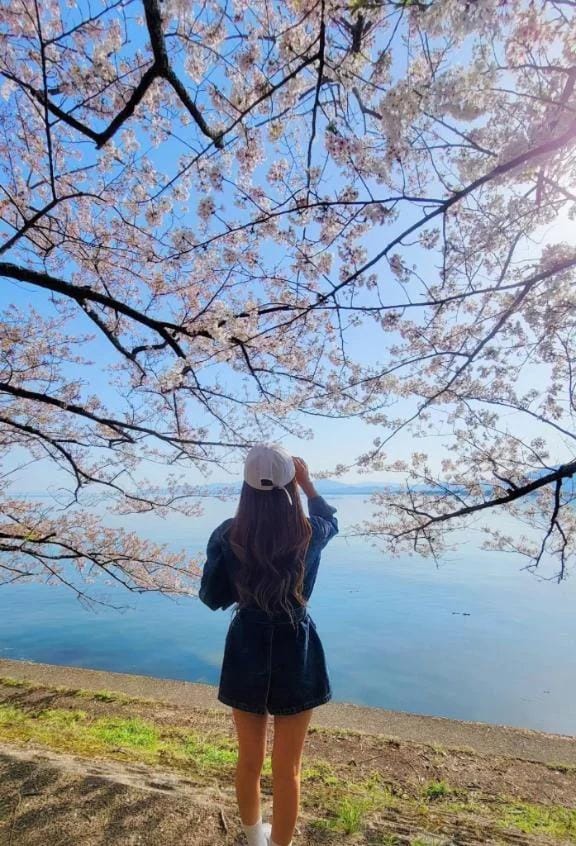 茜/Akane