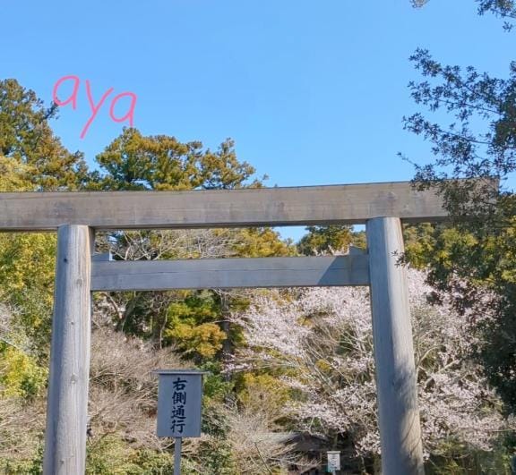 「こんにちはー」03/29(日) 12:41 | あやの写メ日記